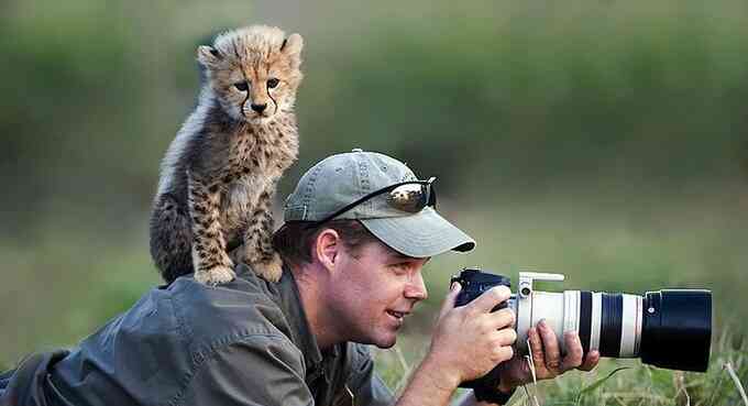 Baby Cheetah on photographer