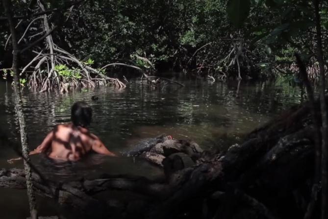 Hutan Perempuan