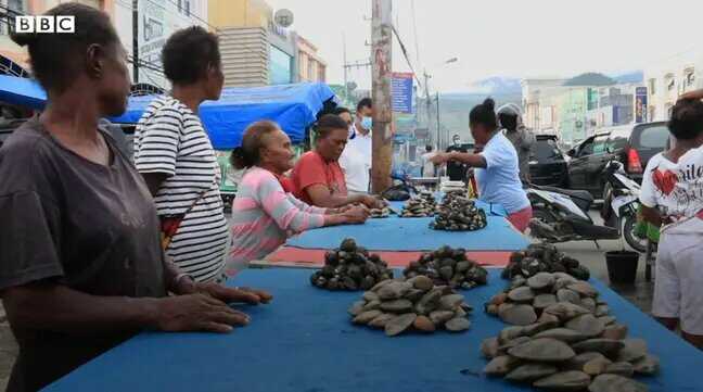 Clams market