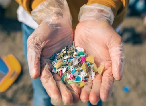 Microplastics