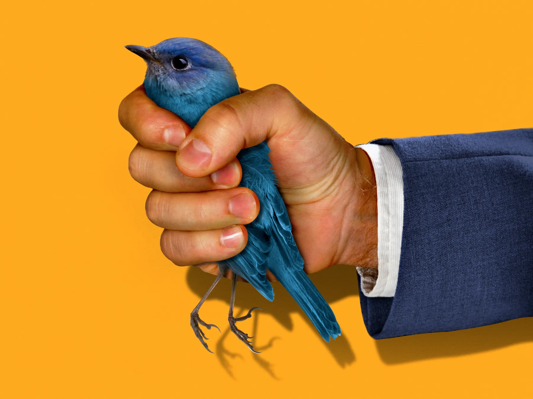 Twitter was killed